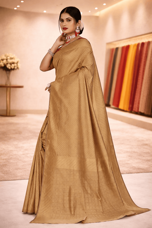 Beautiful model elegantly draped in a dark chikoo plain art silk ethnic saree